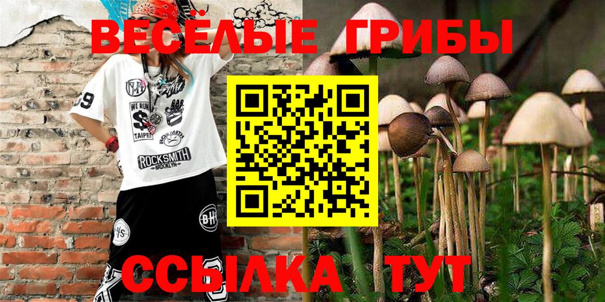 Меф МЯУ МЯУ   Саратов  Вход с VPN  Каннабис  Лсд 25  ГАШ  Кокаин  Каннабис 