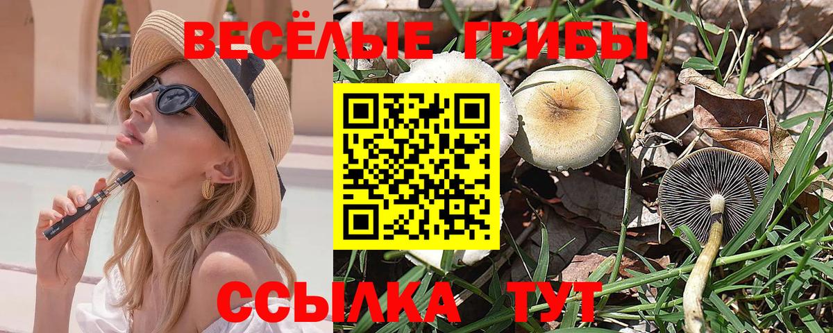 Псилоцибиновые грибы ЛСД Саратов
