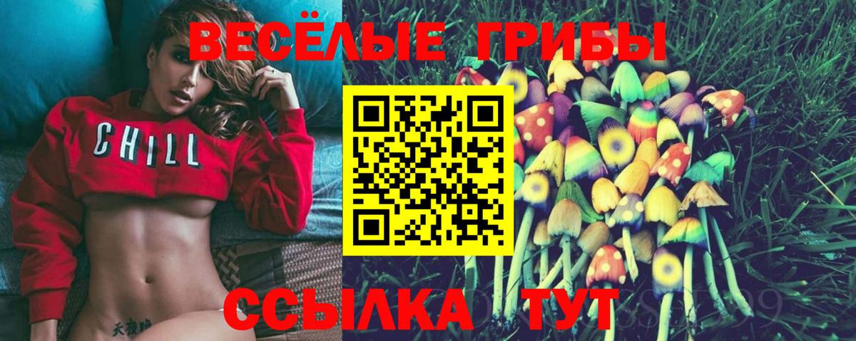 Псилоцибиновые грибы прущие грибы  Псилоцибиновые грибы MAGIC MUSHROOMS  Вход с VPN  Саратов 